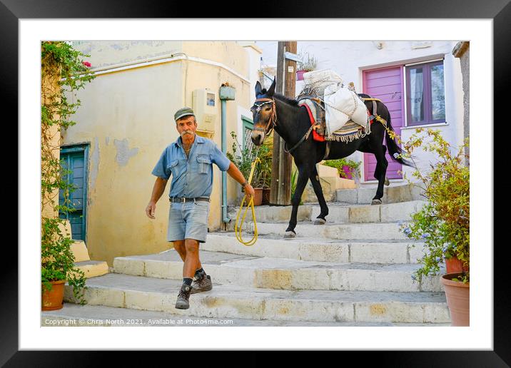 Marco the mule and Stavroz. Framed Mounted Print by Chris North