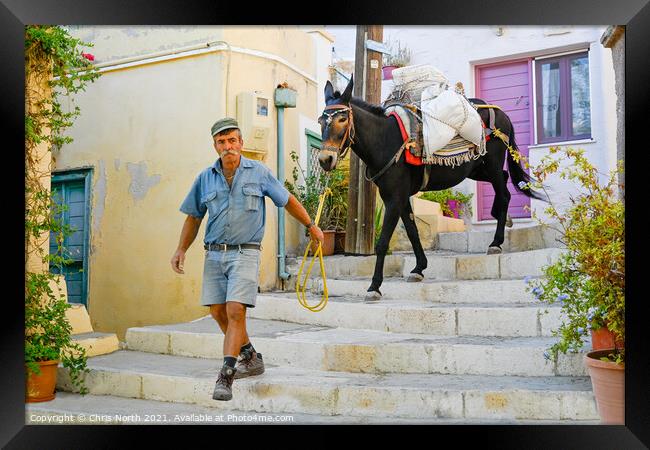 Marco the mule and Stavroz. Framed Print by Chris North