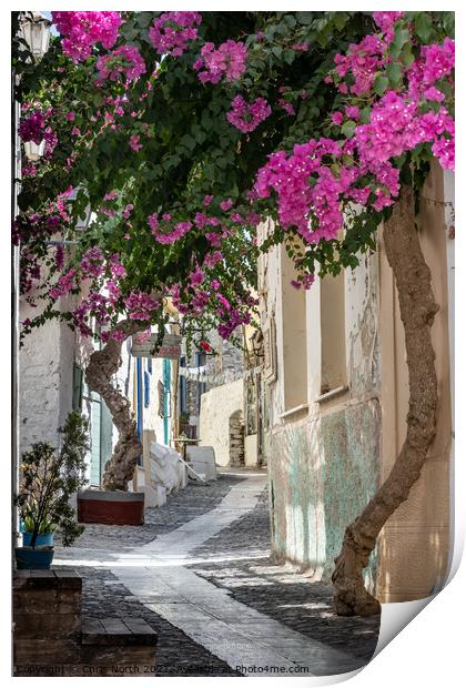 Backsreet of Ano Syros Greek islands. Print by Chris North