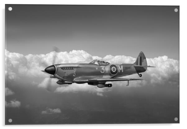 322 Squadron Polly Grey Spitfire TD322 B&W version Acrylic by Gary Eason