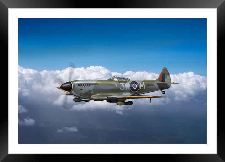 322 Squadron Polly Grey Spitfire TD322 Framed Mounted Print by Gary Eason