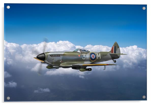 322 Squadron Polly Grey Spitfire TD322 Acrylic by Gary Eason