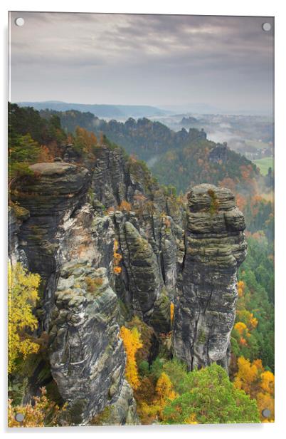 Elbe Sandstone Mountains in Saxony Acrylic by Arterra 