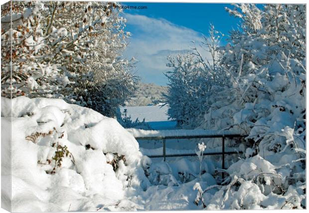 Snowy Winter Scene near Cardiff South Wales Canvas Print by Nick Jenkins