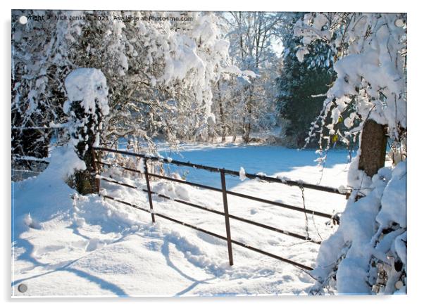 Winter Country Scene near Cardiff Acrylic by Nick Jenkins