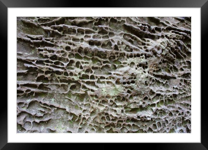 Honeycombed Sandstone Rock Abstract Framed Mounted Print by Arterra 