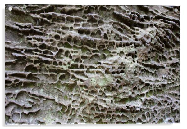Honeycombed Sandstone Rock Abstract Acrylic by Arterra 