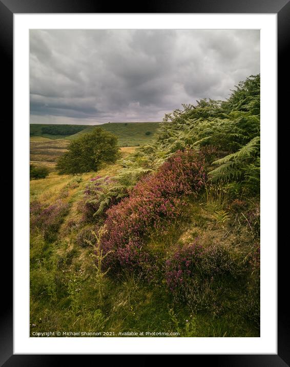 Bracken and Heather, Hole of Horcum Framed Mounted Print by Michael Shannon