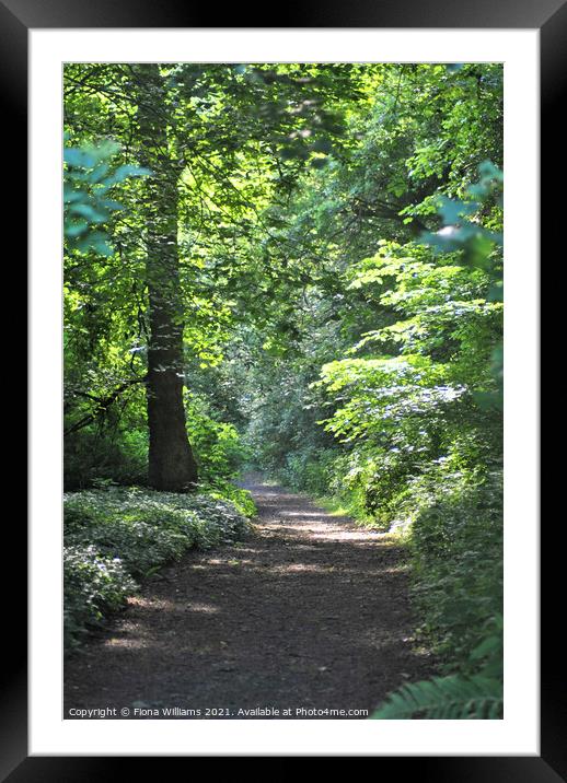 Woodland walk Framed Mounted Print by Fiona Williams