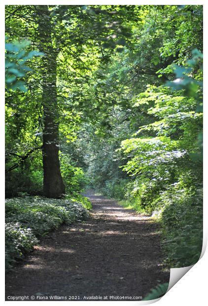 Woodland walk Print by Fiona Williams