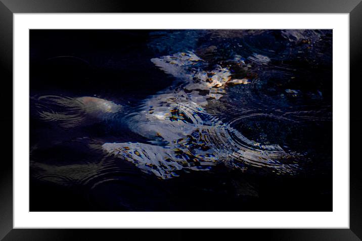 underwater gannet in sun  Framed Mounted Print by Mark Deans