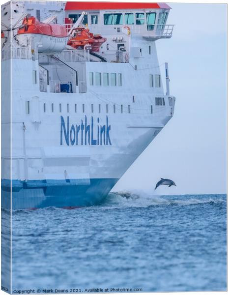 north link ferry dolphin jump  Canvas Print by Mark Deans