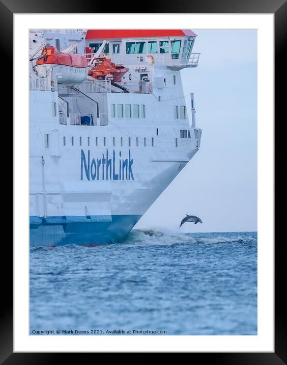 north link ferry dolphin jump  Framed Mounted Print by Mark Deans