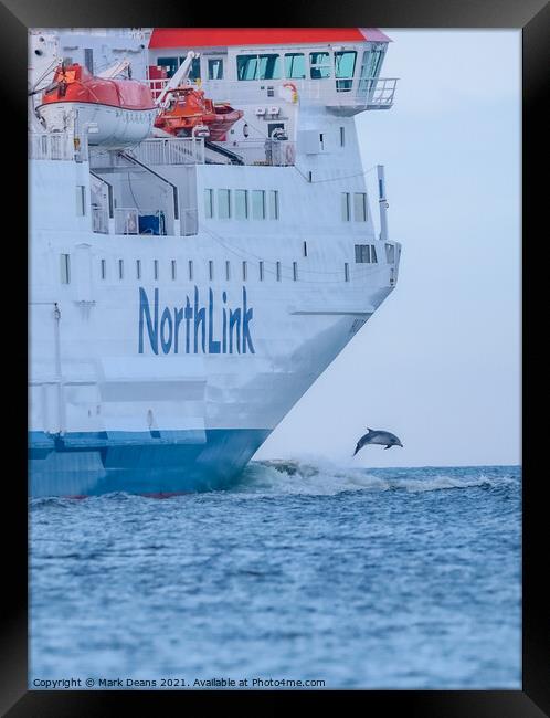 north link ferry dolphin jump  Framed Print by Mark Deans