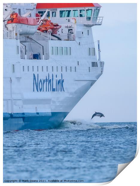 north link ferry dolphin jump  Print by Mark Deans