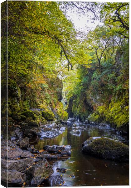 Fairy glen wales Canvas Print by chris smith