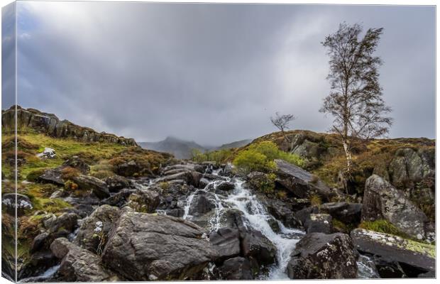 Waterfall Snowdonia National Park North Wales Canvas Print by chris smith