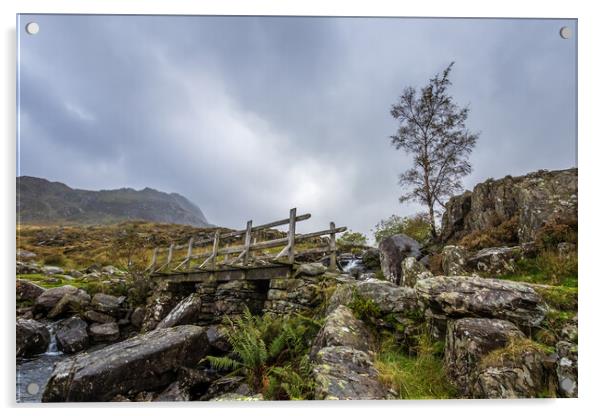 Snowdonia National Park Acrylic by chris smith