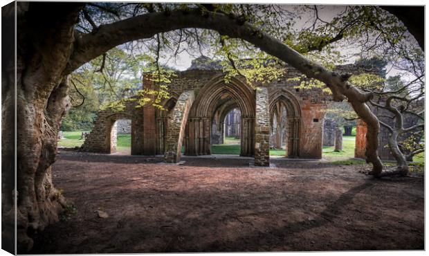 Margam Park ruined abbey Canvas Print by Leighton Collins