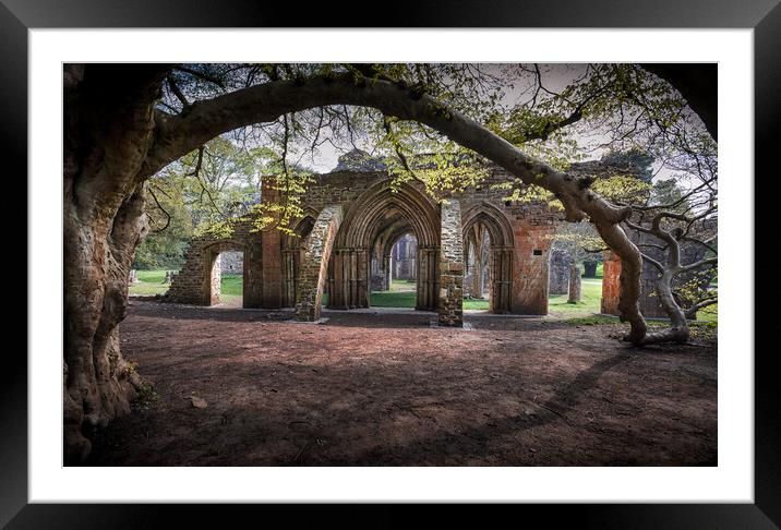 Margam Park ruined abbey Framed Mounted Print by Leighton Collins