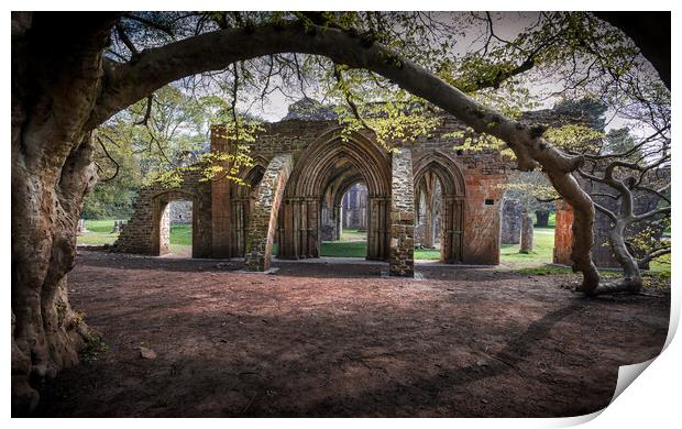 Margam Park ruined abbey Print by Leighton Collins