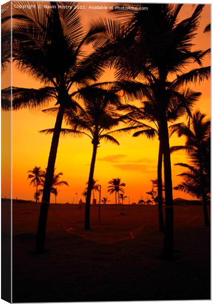 Sunset and Palm Trees, Benhaulim, South Goa, India Canvas Print by Navin Mistry