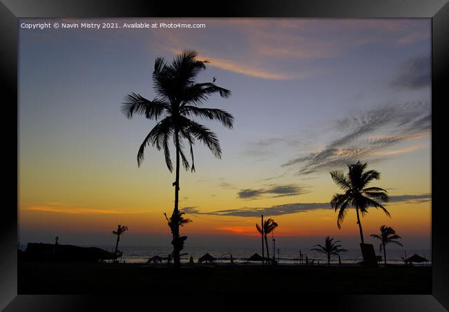 Sunset Palm Trees Benhaulim South Goa India Framed Print by Navin Mistry