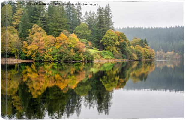 Misty autumn reflections on Loch Ard, Trossachs Canvas Print by Angus McComiskey