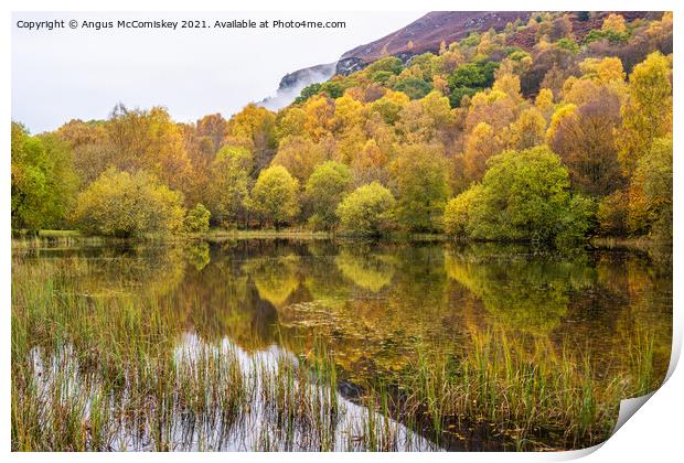Autumn colours on forest park pond, Aberfoyle Print by Angus McComiskey
