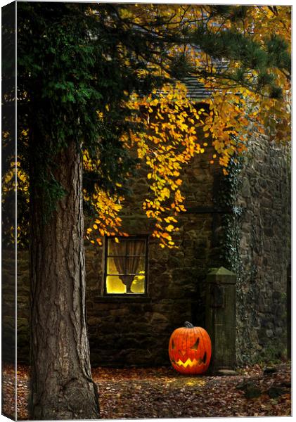 Pumpkin Glow Canvas Print by Alison Chambers