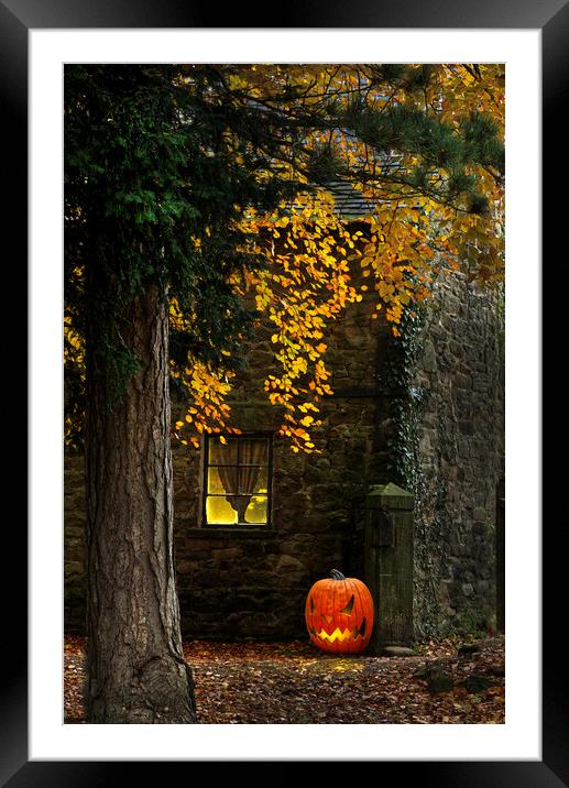 Pumpkin Glow Framed Mounted Print by Alison Chambers
