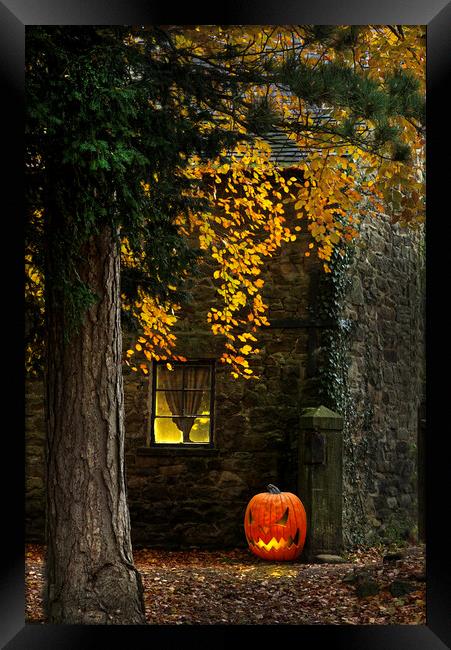 Pumpkin Glow Framed Print by Alison Chambers