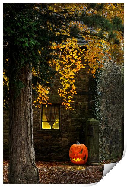 Pumpkin Glow Print by Alison Chambers
