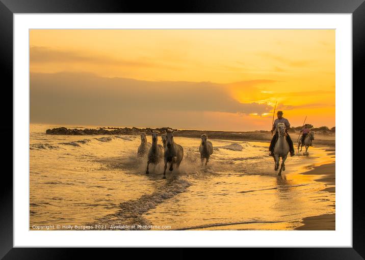 Camargue White Horse France galloping in the sunse Framed Mounted Print by Holly Burgess