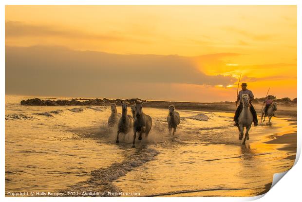 Camargue White Horse France galloping in the sunse Print by Holly Burgess