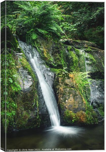 Waterfall Canvas Print by Chris Rose