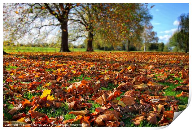The Colours of Autumn Print by Simon Marlow