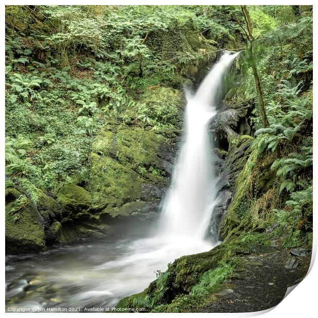 Dolgoch waterfall Snowdonia. Print by jim Hamilton