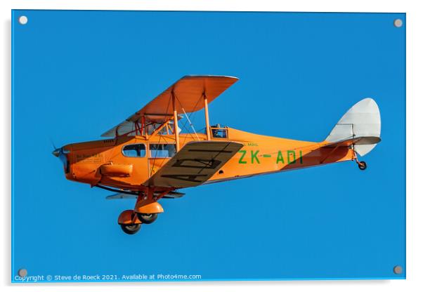 de Havilland DH83 Fox Moth Acrylic by Steve de Roeck