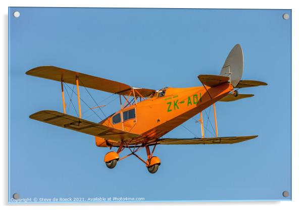 de Havilland Fox Moth DH 83 Acrylic by Steve de Roeck