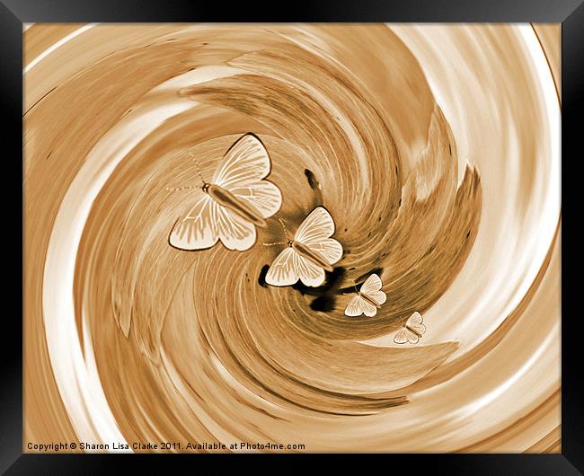 swirl of gold butterflies Framed Print by Sharon Lisa Clarke
