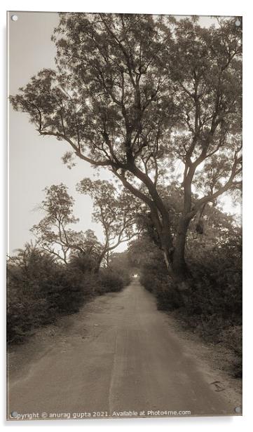 Old Road Acrylic by anurag gupta
