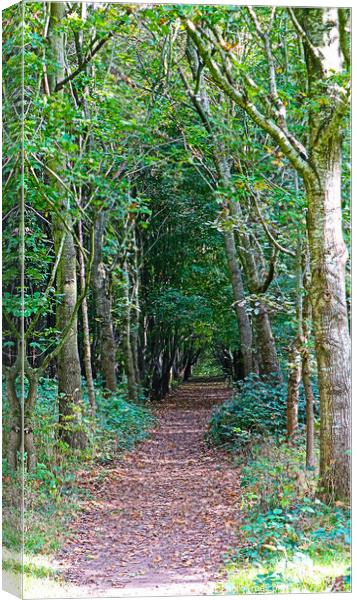 Natures Carpet Canvas Print by GJS Photography Artist