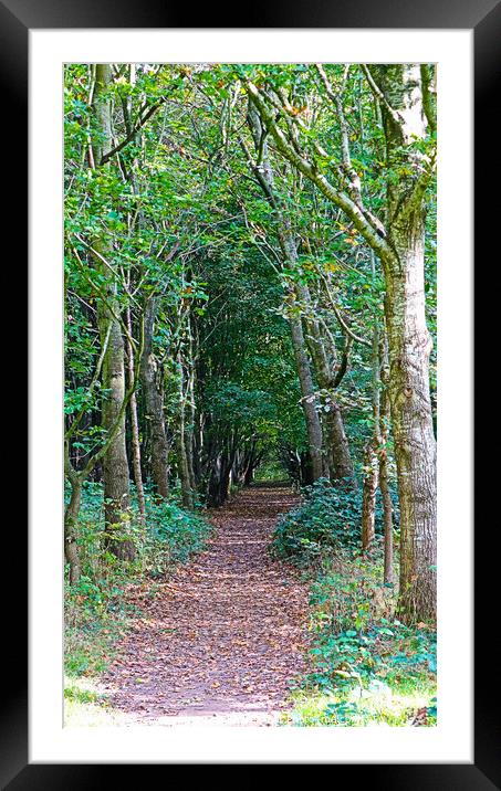Natures Carpet Framed Mounted Print by GJS Photography Artist