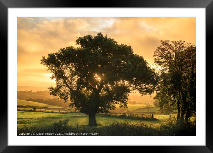 Early Autumn Sunrise Framed Mounted Print by David Tinsley
