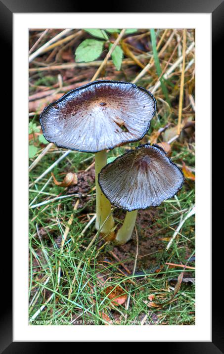 Pleated Ink Cap  Framed Mounted Print by GJS Photography Artist
