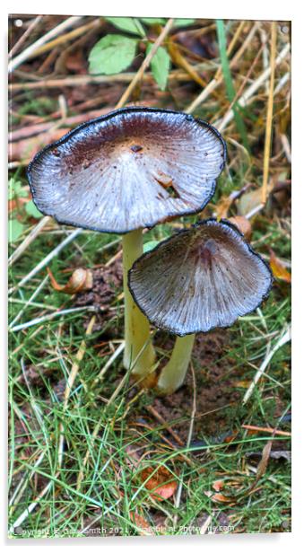 Pleated Ink Cap  Acrylic by GJS Photography Artist