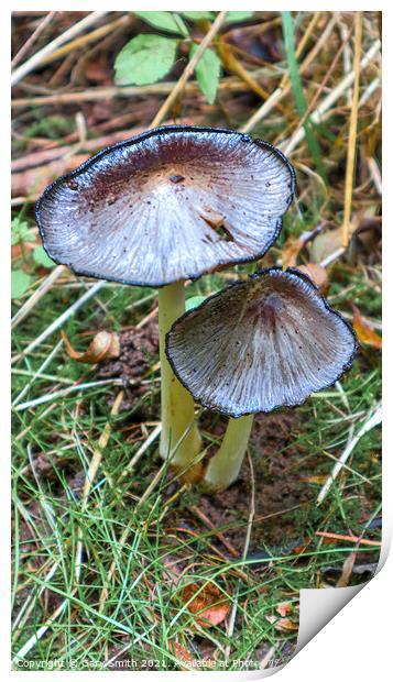 Pleated Ink Cap  Print by GJS Photography Artist