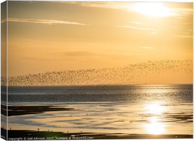 Flock of birds in the sunset  Canvas Print by Gail Johnson
