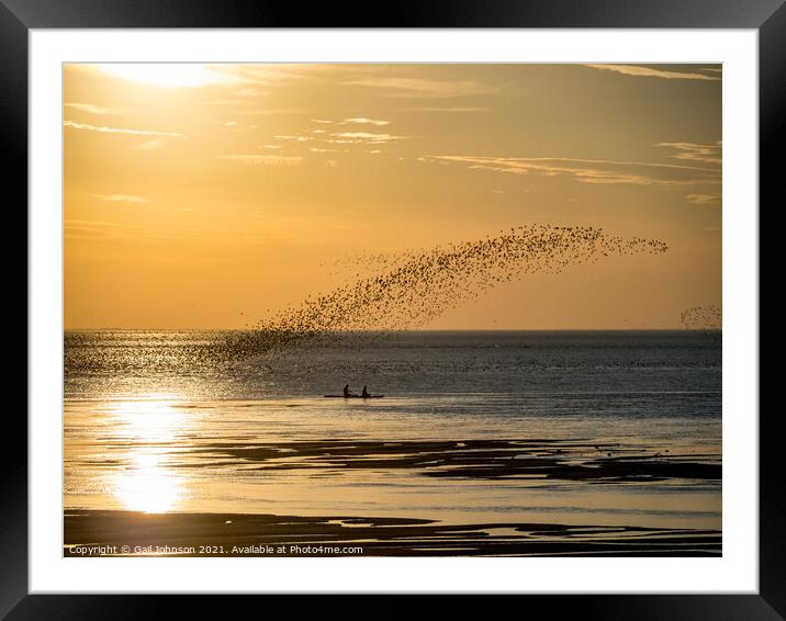 SUP and birds in the sunset  Framed Mounted Print by Gail Johnson